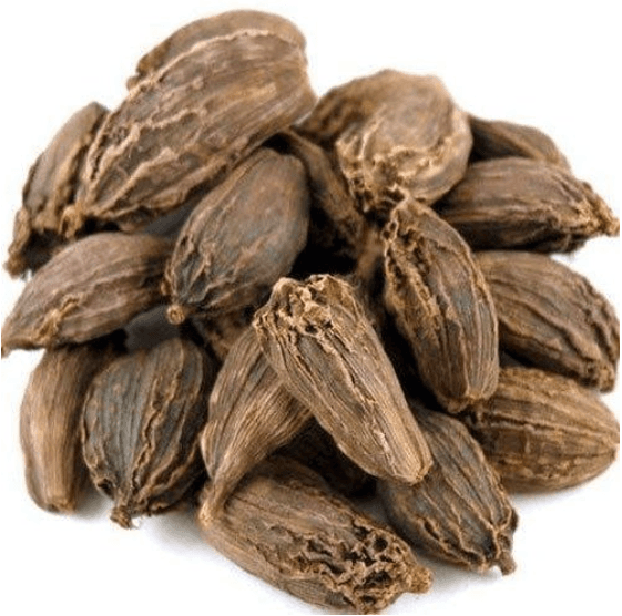 Large Cardamom